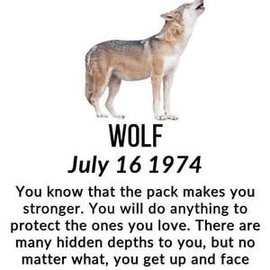 Meet your Posher, Hallory